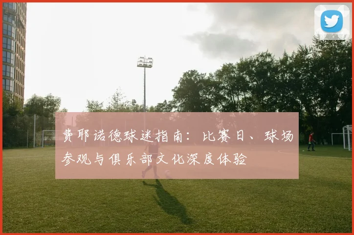 费耶诺德球迷指南：比赛日、球场参观与俱乐部文化深度体验