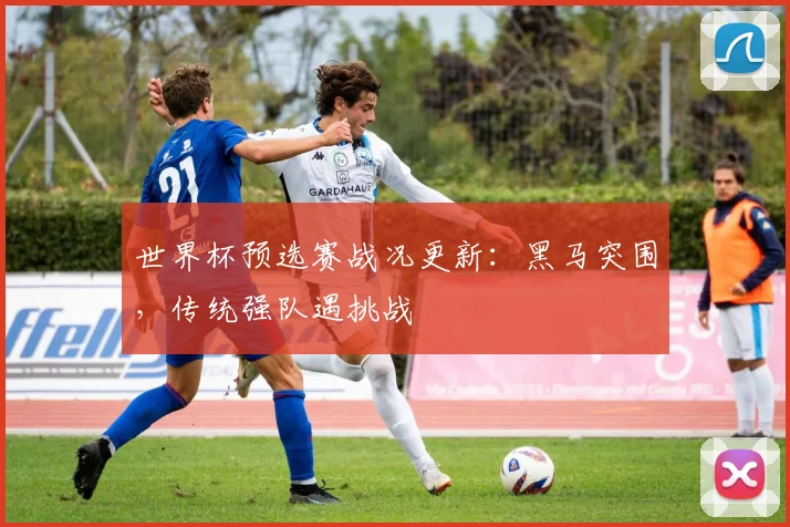 世界杯预选赛战况更新：黑马突围，传统强队遇挑战