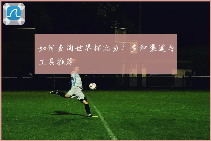 如何查询世界杯比分？多种渠道与工具推荐