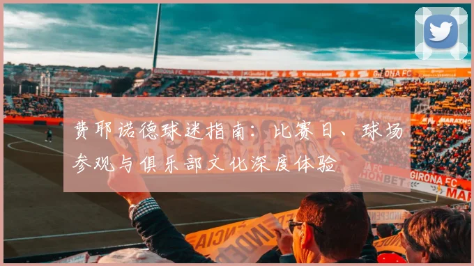 费耶诺德球迷指南：比赛日、球场参观与俱乐部文化深度体验