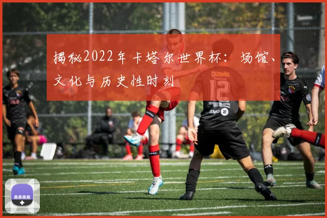 揭秘2022年卡塔尔世界杯：场馆、文化与历史性时刻