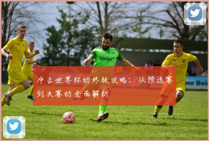 冲击世界杯的终极攻略：从预选赛到决赛的全面解析